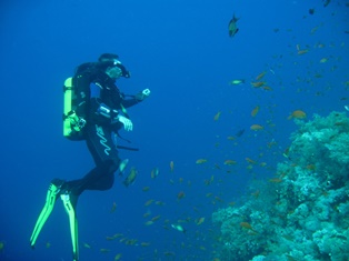 Red Sea CCR Diver: Teresa Crampton